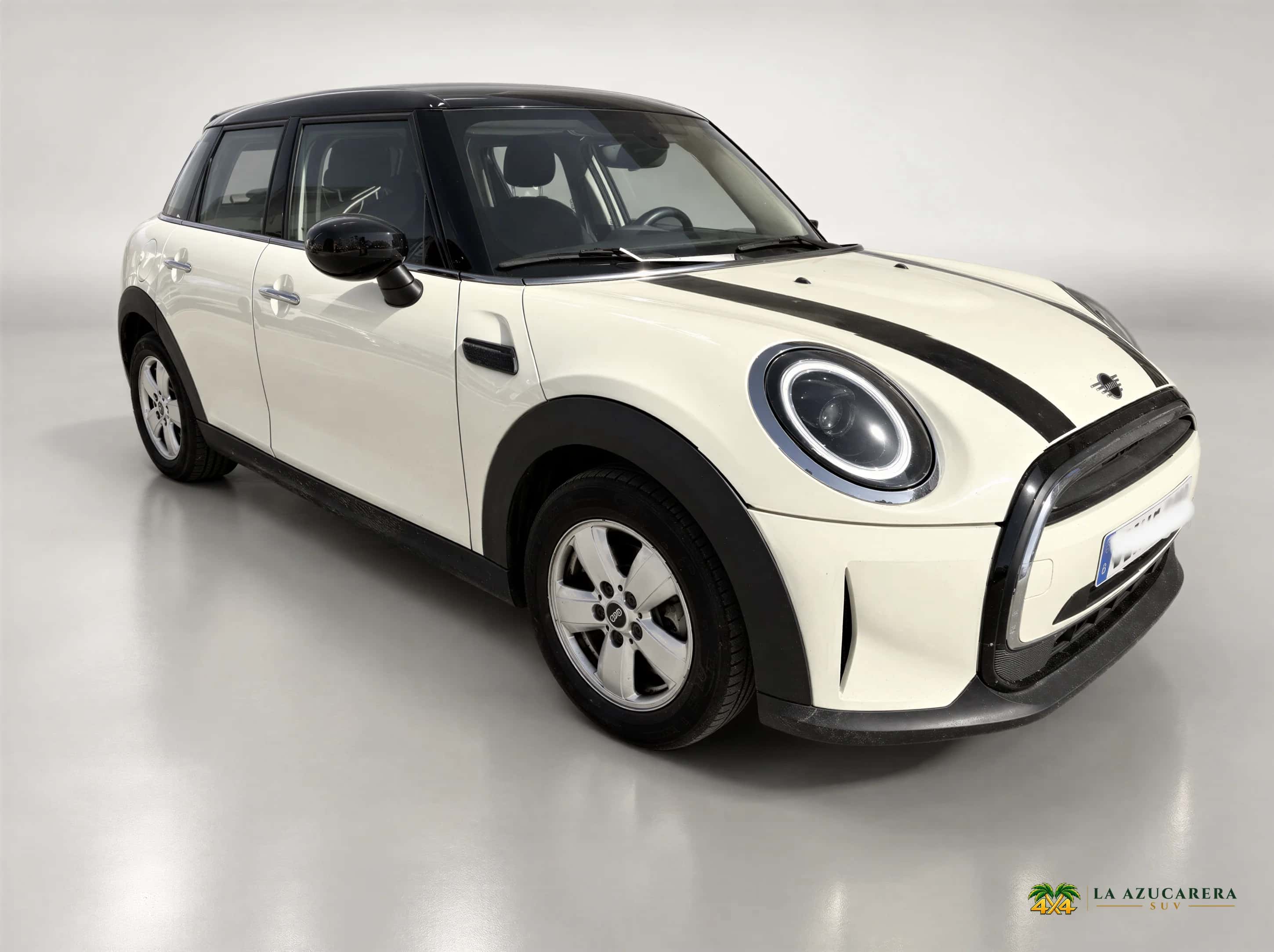MINI MINI 2022